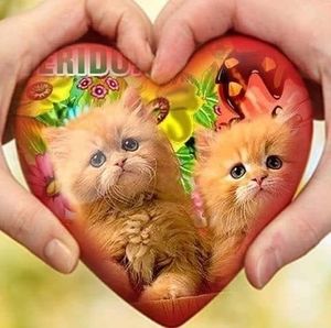 Meet your Posher, Danilo